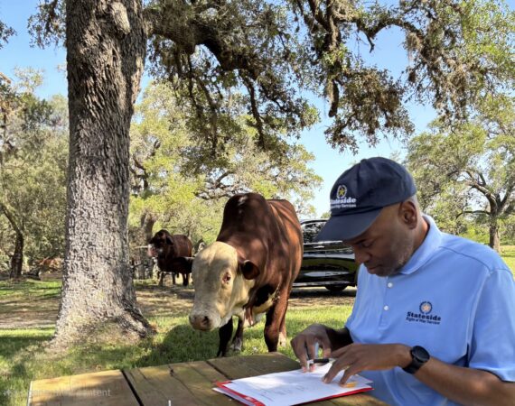 Leon and cow saying Hi
